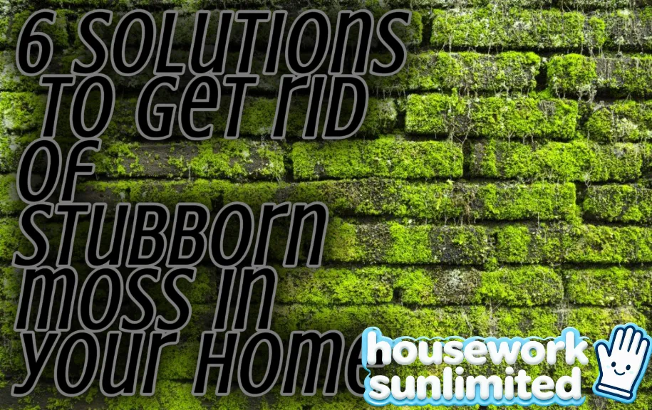 6 solutions to get rid of stubborn moss in your home